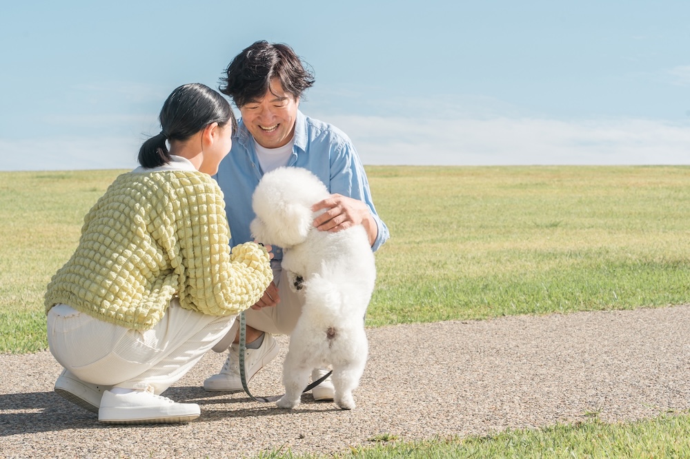 犬の散歩でストレスを発散させる2人